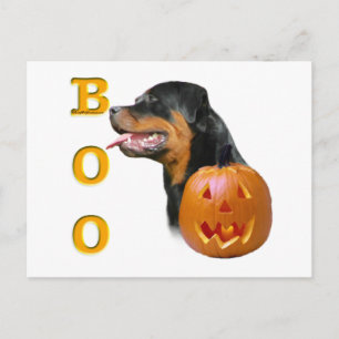 Carte Postale Boo Rottweiler
