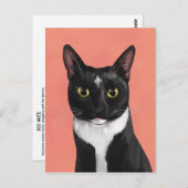 Carte postale Boo the Tuxedo Cat (Devant / Derrière)