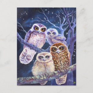 Carte Postale Boobook Owl Family