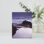 Carte Postale Boobys Bay (Debout devant)