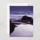 Carte Postale Boobys Bay (Devant / Derrière)