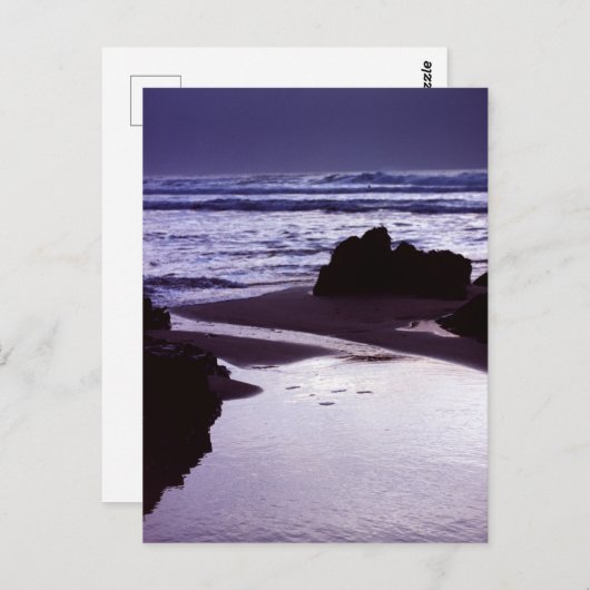 Carte Postale Boobys Bay (Devant / Derrière)