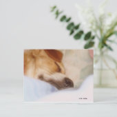 Carte Postale Booger à sucre (Debout devant)