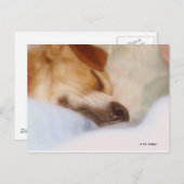 Carte Postale Booger à sucre (Devant / Derrière)