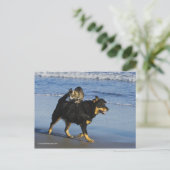 Carte Postale Booger, Kitty et Mousey (Debout devant)