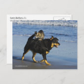 Carte Postale Booger, Kitty et Mousey (Devant / Derrière)