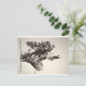 Carte Postale boogers 1242012 de cyberespace (Debout devant)