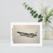 Carte Postale boogers 1302012 de cyberespace (Debout devant)