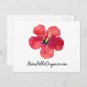 Carte Postale BoozaBelle Organiques (Devant / Derrière)