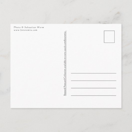 Carte Postale Boppard am Rhein (Dos)