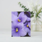 Carte Postale Boquet violet (Debout devant)