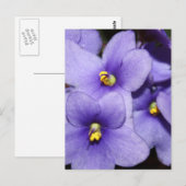 Carte Postale Boquet violet (Devant / Derrière)