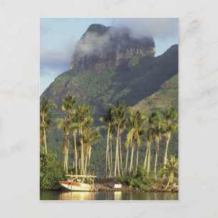Carte Postale Bora Bora, Polynésie française Scène de bord de me