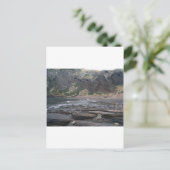 Carte Postale Bord de la mer coréen (Debout devant)