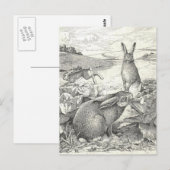 Carte Postale Bord de mer (Devant / Derrière)