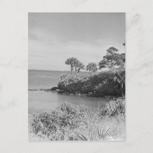 Carte Postale Bord de mer (Devant)