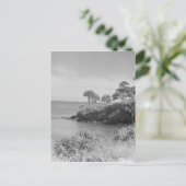 Carte Postale Bord de mer (Debout devant)