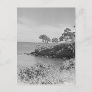 Carte Postale Bord de mer