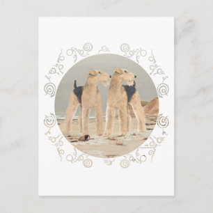 Carte Postale Bord de mer brumeux