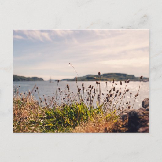 Carte Postale Bord de mer d'Oban (Devant)