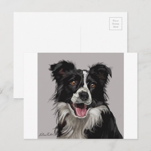 Carte Postale Border Collie (Devant / Derrière)