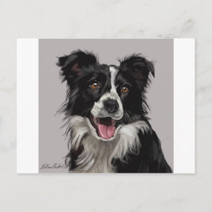 Carte Postale Border Collie