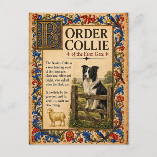 Carte Postale Border Collie, Art du Bestiaire Médiéval