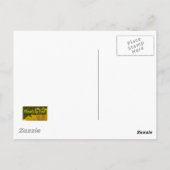 Carte Postale Bords brûlés à la rose blanche (Dos)