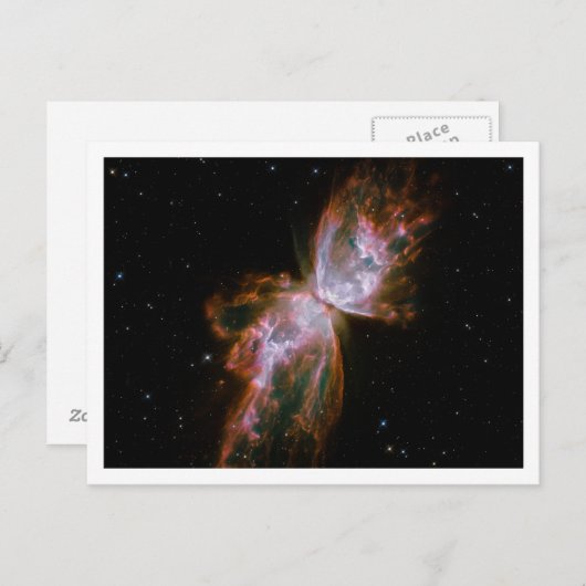 Carte Postale Bordure blanche nébuleuse papillon (Devant / Derrière)