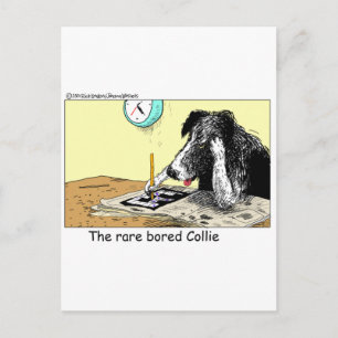 Carte Postale Bordure Bored Collie Drôle Cadeaux Tee - shirts Ob