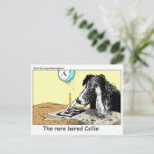 Carte Postale Bordure Bored Collie Drôle Cadeaux Tee - shirts Ob (Debout devant)