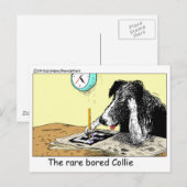 Carte Postale Bordure Bored Collie Drôle Cadeaux Tee - shirts Ob (Devant / Derrière)