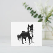 Carte Postale Bordure Collie (Debout devant)