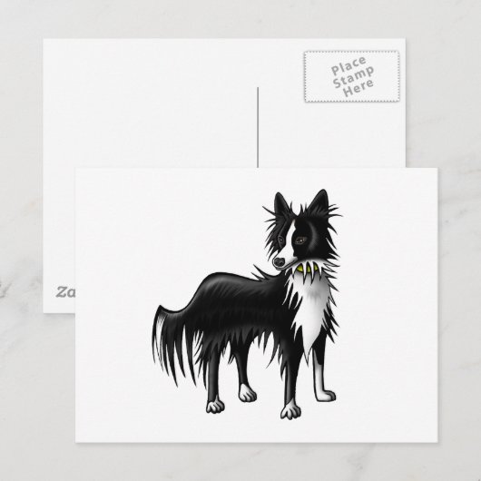 Carte Postale Bordure Collie (Devant / Derrière)