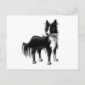 Carte Postale Bordure Collie (Devant)