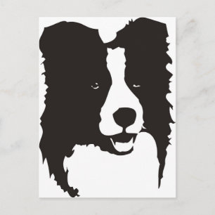 Carte Postale Bordure Collie