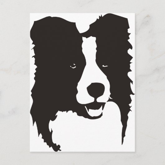 Carte Postale Bordure Collie (Devant)