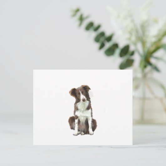 Carte Postale Bordure Collie (B) - brun et blanc (Debout devant)