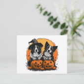 Carte Postale Bordure Collie Chiens Halloween Jack O Lanterns (Debout devant)