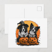 Carte Postale Bordure Collie Chiens Halloween Jack O Lanterns (Devant / Derrière)