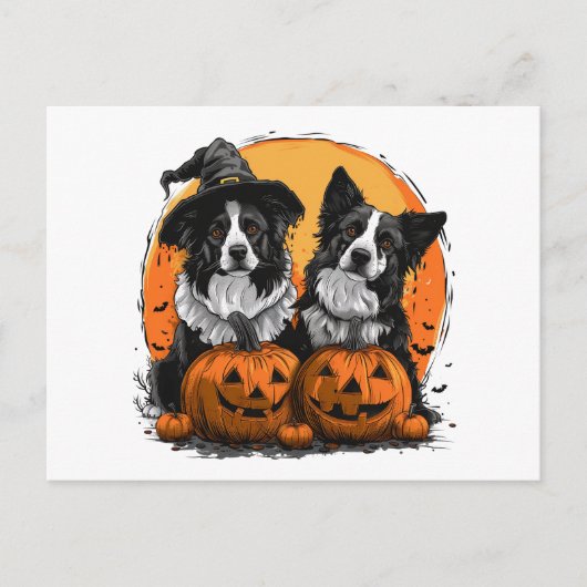 Carte Postale Bordure Collie Chiens Halloween Jack O Lanterns (Devant)