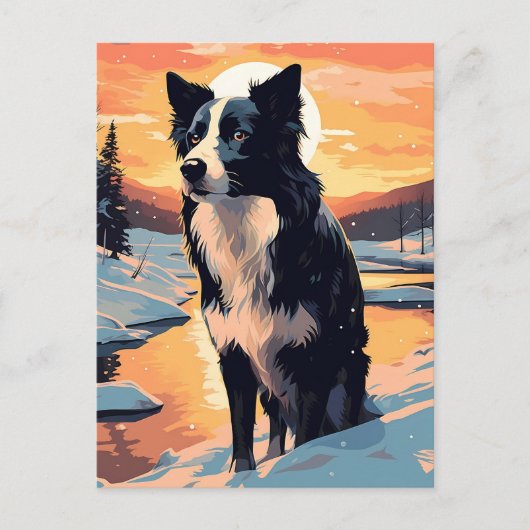 Carte Postale Bordure Collie dans la forêt enneigée au coucher d (Devant)