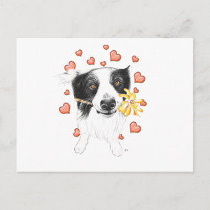 Carte Postale Bordure Collie Et Coeurs