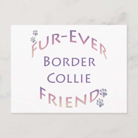 Carte Postale Bordure Collie Furever (Devant)