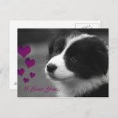 Carte Postale Bordure Collie, Je T'Aime (Devant / Derrière)