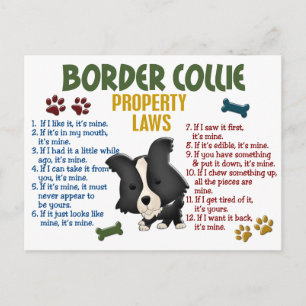 Carte Postale Bordure Collie Lois sur les propriétés 4