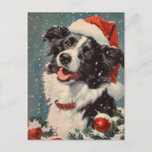 Carte Postale Bordure Collie Noël (Devant)