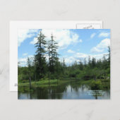 Carte Postale Bordure de la forêt (Devant / Derrière)