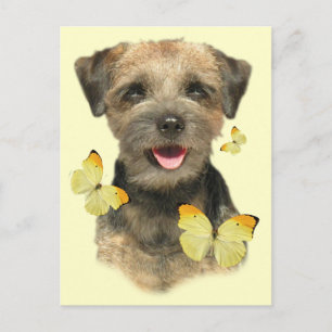 Carte Postale Bordure du papillon Terrier