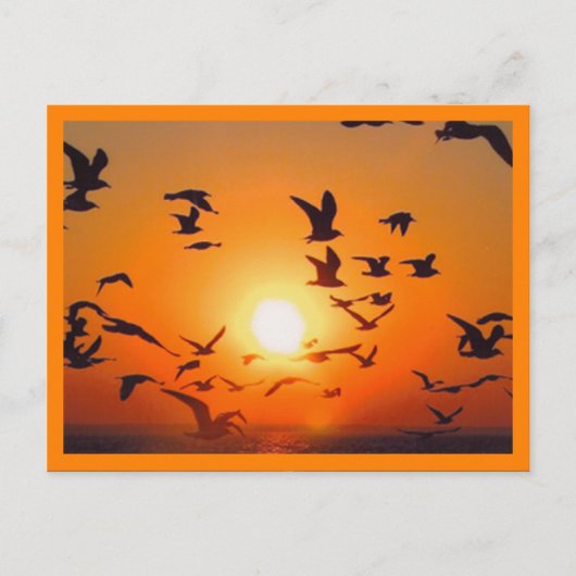 Carte Postale Bordure orange de la scène du coucher du soleil (Devant)